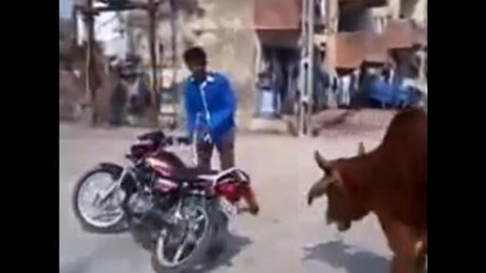 Bike Stunt Man Vs Angry Bull-Funny Videos-Whatsapp Videos-Prank Videos-Funny Vines-Viral Video-Funny Fails-Funny Compilations-Just For Laughs