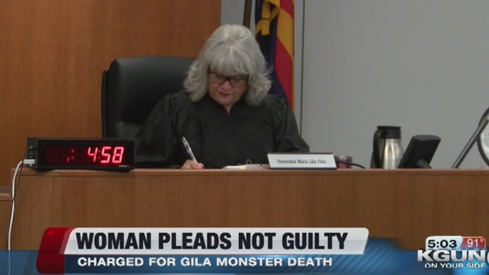 Accused Gila monster killer pleads not guilty