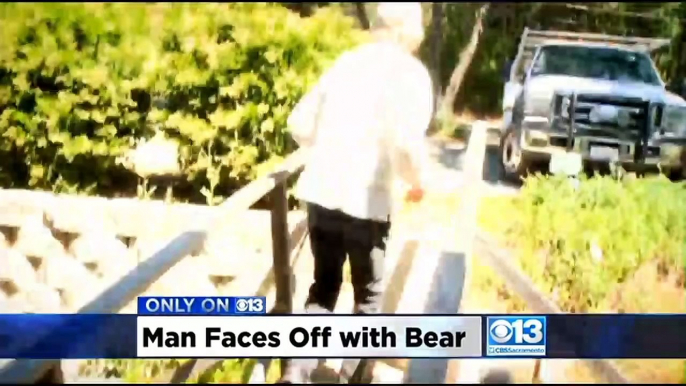 Placer County Man Punches Bear In Face To Save His Dog