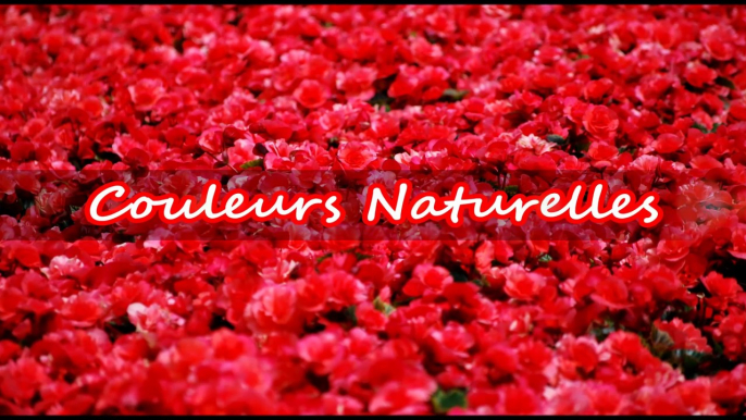 COULEURS NATURELLES