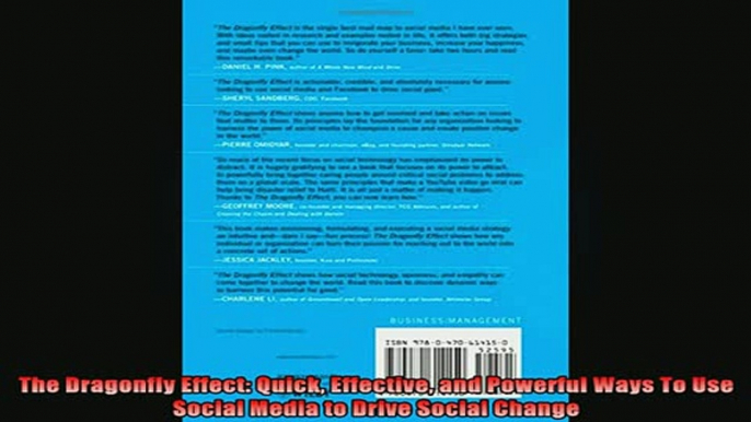 Downlaod Full PDF Free  The Dragonfly Effect Quick Effective and Powerful Ways To Use Social Media to Drive Online Free