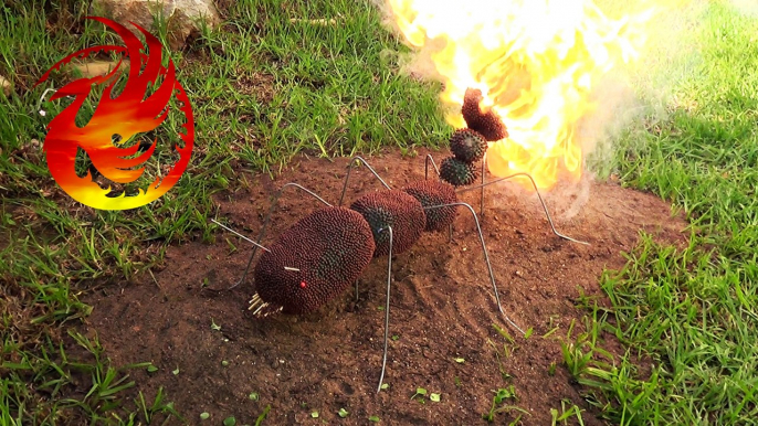 12000 MATCHES chain reaction video - GIANT FIRE ANT - Amazing fire domino effect!!! - PyroGirl
