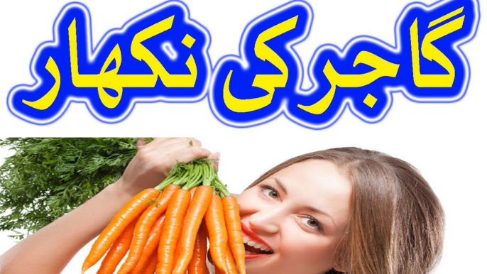 Carrot Benefits - Gajar khane ke fawaid - Carrot Benefits for skin in urdu hindi