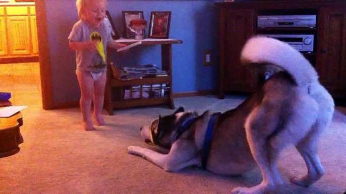 Baby and Husky, Deep in Conversation