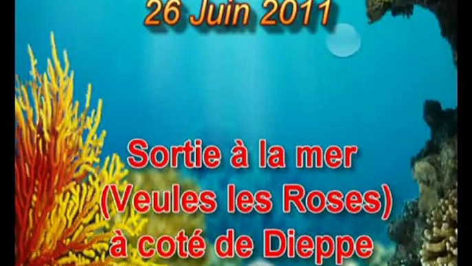 26/06/2011 - Sortie "Veules les Roses" à coté de Dieppe