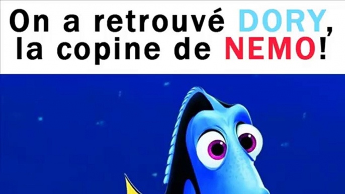 On a retrouvé Dory, la copine de Nemo