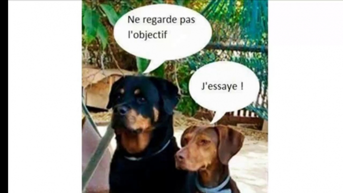 Discussion entre deux potes