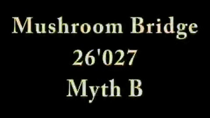 MKDD - Mushroom Bridge - 26'027