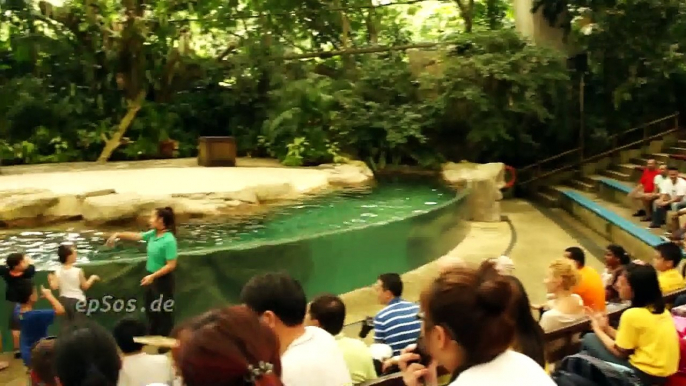 Funny Animal Show in Singapore Zoo