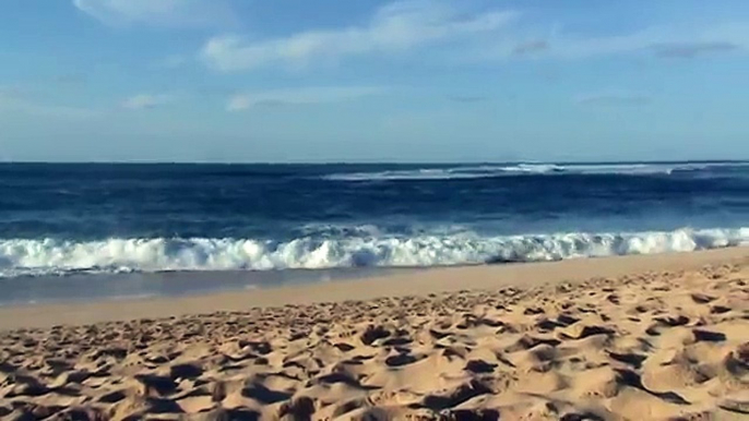 Surfing 15-20ft waves on North Shore of Oahu