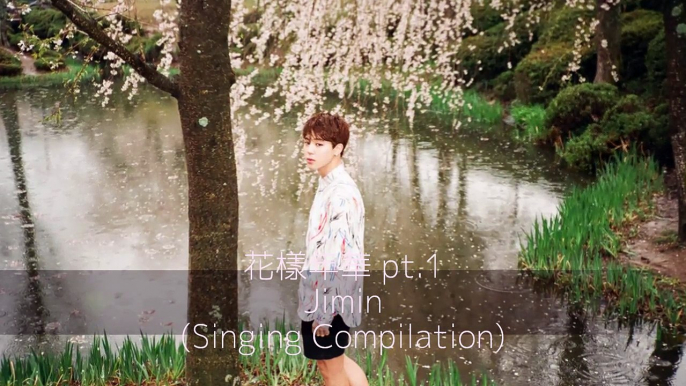 방탄소년단 JIMIN - 花樣年華 pt.1 (Singing Compilation)