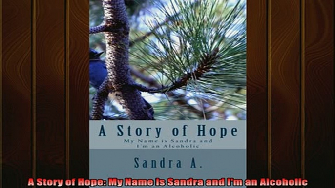 READ book  A Story of Hope My Name is Sandra and Im an Alcoholic Online Free