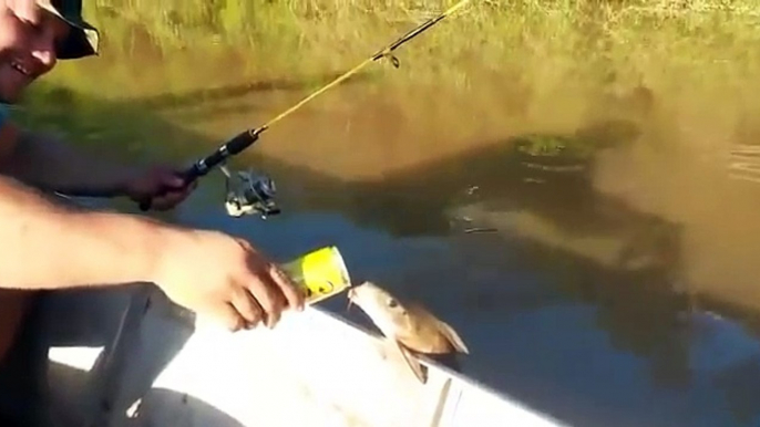 Ce poisson boit de la bière à la canette en s'appuyant au bord du bateau de ces pêcheurs au Brésil