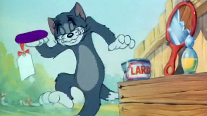 Tom and Jerry, Ep 13 - The Zoot Cat (1944)