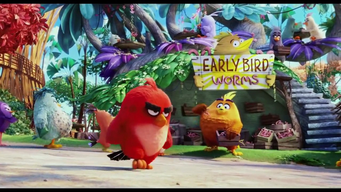 Angry Birds: La Pelicula (Trailer Oficial en Español)