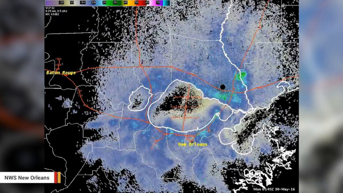 Termite Swarm Large Enough To Show Up On Weather Radar Hits New Orleans