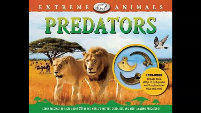 Extreme Animals Predators