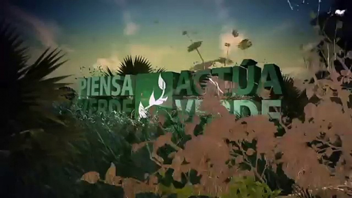 Million Trees Miami Commercial by Univision 23