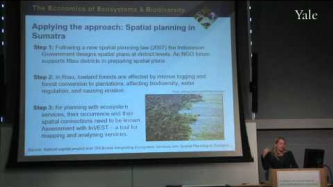 Local & Regional Policy & Management: Cities and Spatial Planning