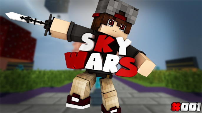 SKYWARS : TODO UN PRO