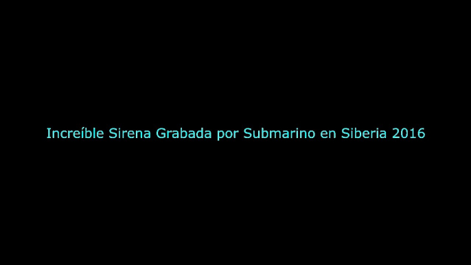 Sirène filmée d'un sous-marin Sibérien