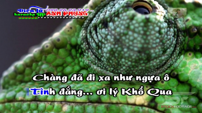 Tình Đắng Lý Khổ Qua karaoke full HD 2016 Điện Tử Anh Phụng