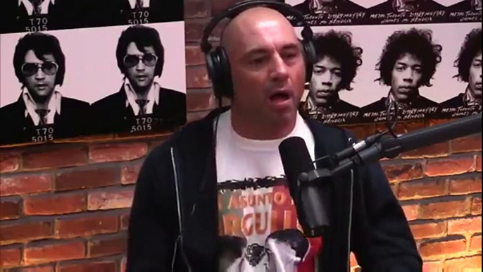 Joe Rogan On Conor McGregor | "You Got F*cked Up Man! You Have To Accept That"