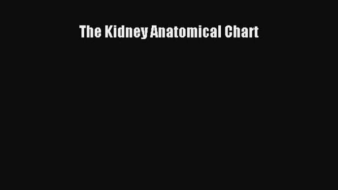 Download The Kidney Anatomical Chart PDF Free