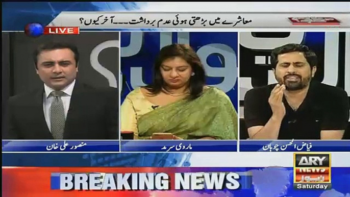 Fayyaz UL Chohan Answer to Anchor when he Taunts Imran Khan for using NON-P words!