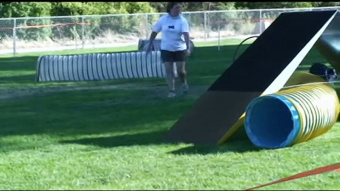 Paris mdt Agility Ability PSMC Agility Trial July 25 27 2009 Carson City NV