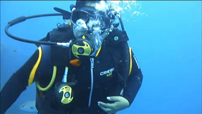 27 julio de 2015 buceo en baru y bajos de salmedina con buzos de baru cartagena colombia