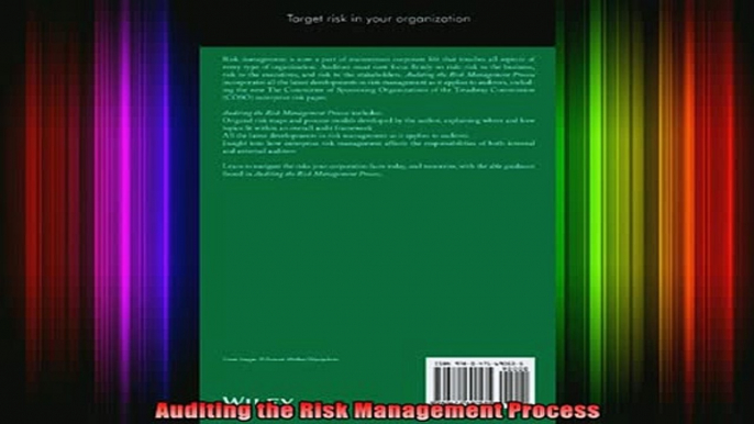 READ book  Auditing the Risk Management Process Full EBook