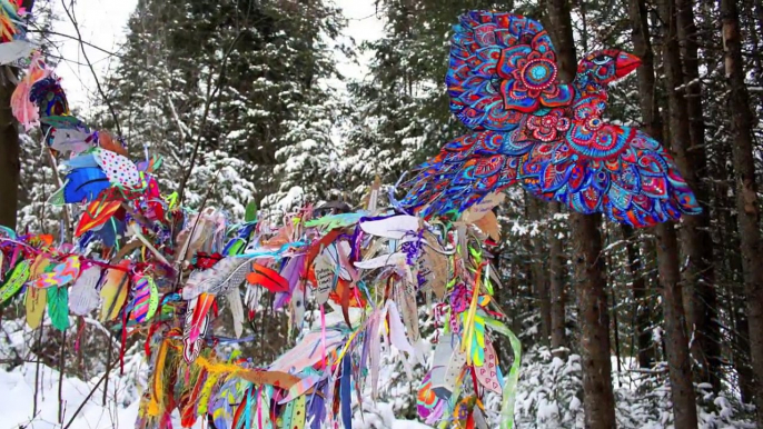 Bird of Hope - Nesting at La Grange Morin Heights