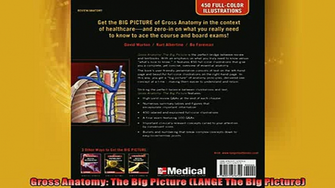 FREE PDF  Gross Anatomy The Big Picture LANGE The Big Picture READ ONLINE