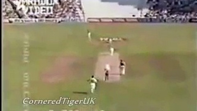 Waqar Younis Stunning Yorkers Watch AGAIN!!! - Video Dailymotion - Copy