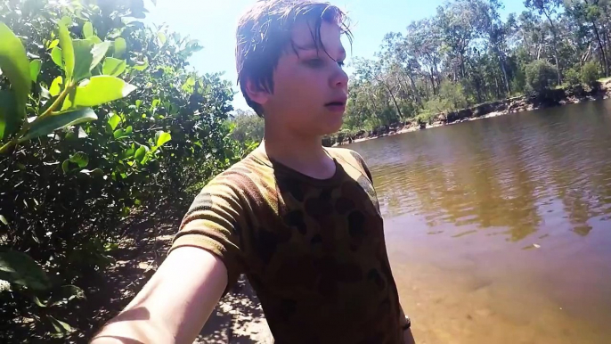 RARE FOOTAGE: Stingray Giving Birth, Boy Delivers 12 Stingrays! HD