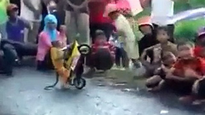 Funny monkey run the bick dhoom machale