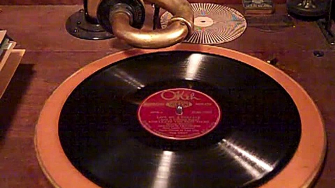 SAM LANIN'S ARKANSAS TRAVELERS - GIVE ME A UKELELE - ROARING 20'S VICTROLA