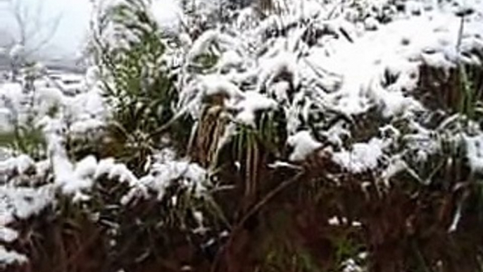 NEVE EM CAXIAS DO SUL !!!!27 DE AGOSTO 2013