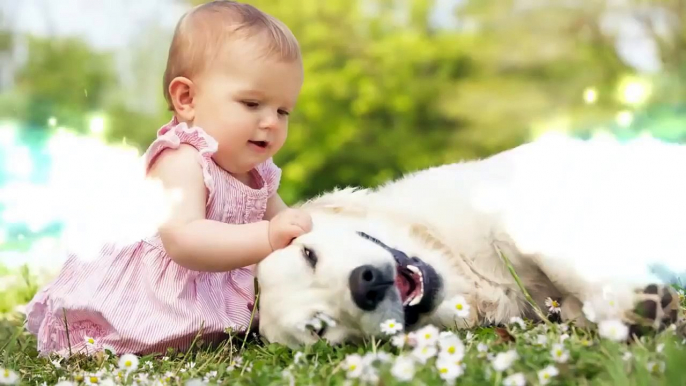 Baby Laughing At Dog Wagging Tail Dog loves Baby Video