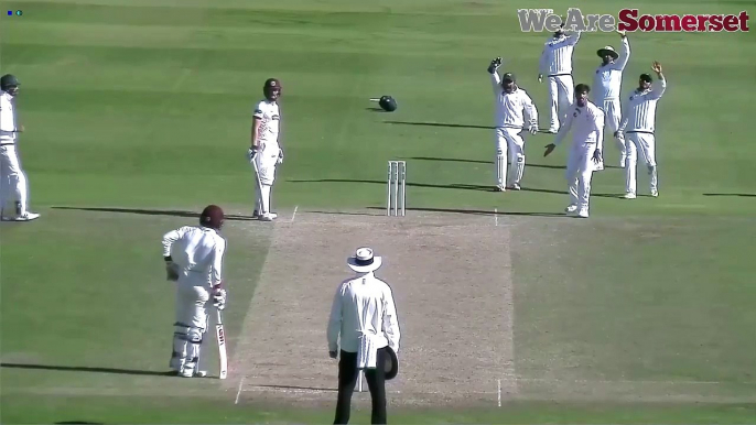 Huge appeal for a catch off an Amir thunderbolt of a Ball - Was That Out or not?