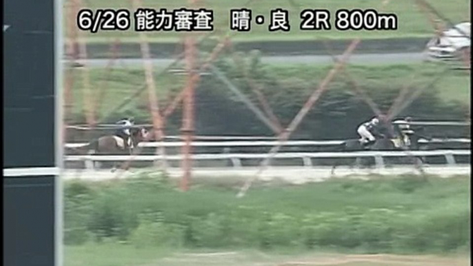 笠松競馬能力審査　6/26-2