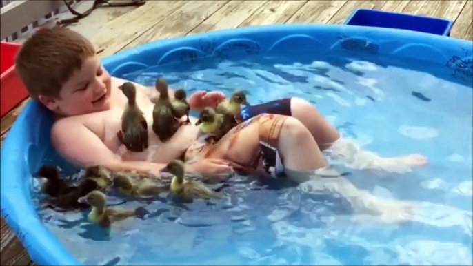 Il transforme sa piscine en marre aux canards. Trop mignon