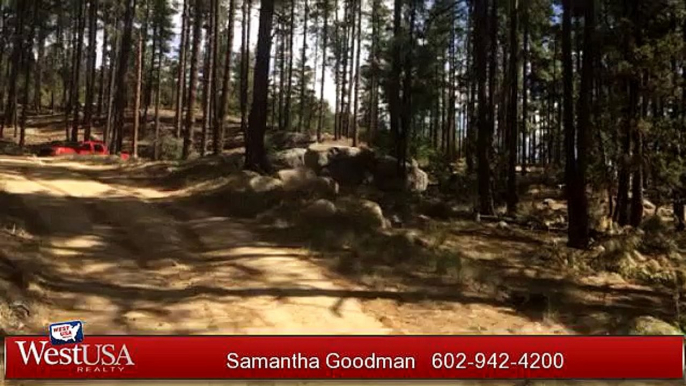 Lots And Land for sale - +/-4800 W Copper Cliff Drive, Prescott, AZ 86303