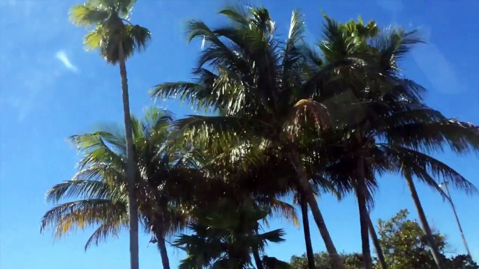Royal Caribbean Vlog's - Allure Of The Seas: Vlog 2