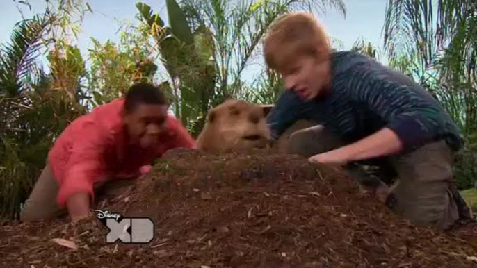 Pair of Kings - S3 E6 - O Lanada