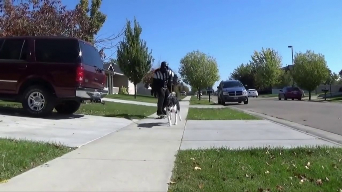 Spiderman and friends The Amazing Spiderman against Darth Vader in a real life movie supervillain