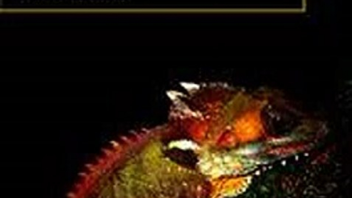 Phylogeny and Conservation Andrew Purvis(ed.)   John L. Gittleman(ed.)   Thomas Brooks(ed.) Ebook EPUB PDF