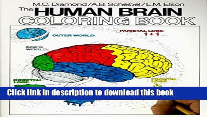 Read The Human Brain Coloring Book (Cos, 306)  Ebook Free