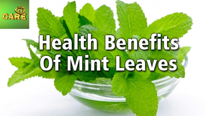 Health Benefits Of MINT LEAVES | Care Tv